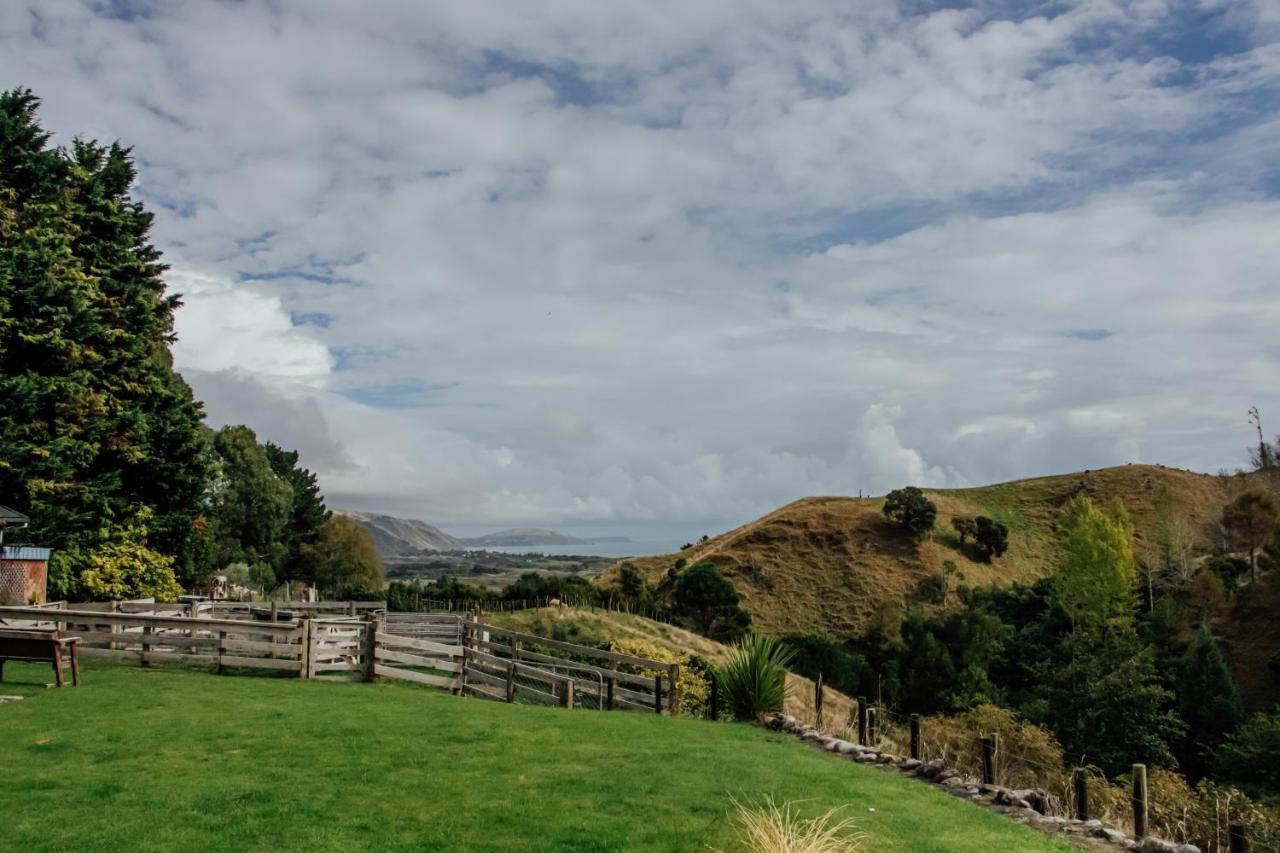 Luxury Stay, Alpaca Farm Paraparaumu Dış mekan fotoğraf