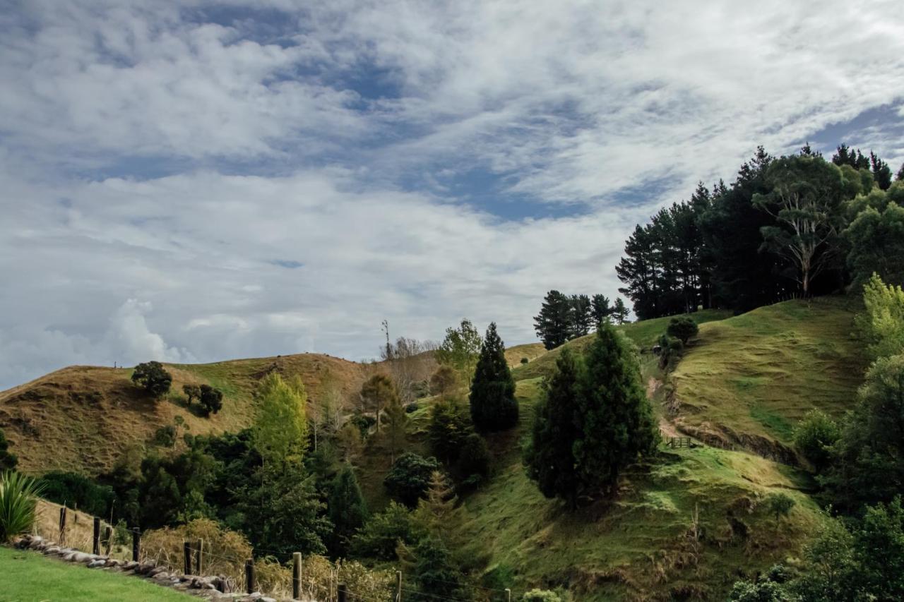 Luxury Stay, Alpaca Farm Paraparaumu Dış mekan fotoğraf