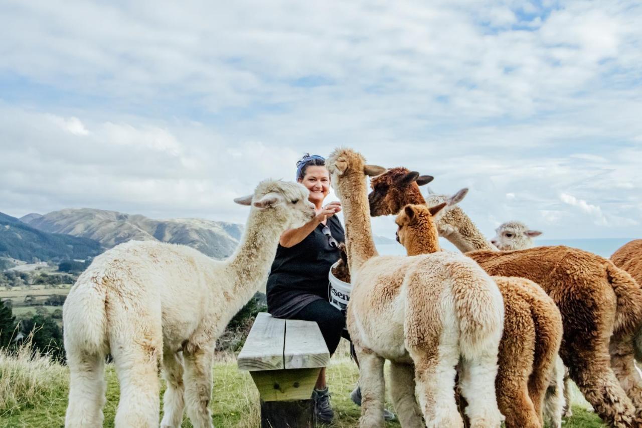 Luxury Stay, Alpaca Farm Paraparaumu Dış mekan fotoğraf